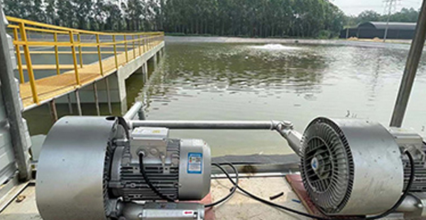 工廠化水產養殖設備品牌定位案例分析