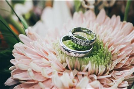 內衣市場企業如何做戰略規劃