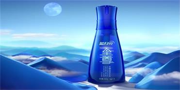 藍月亮公司定位