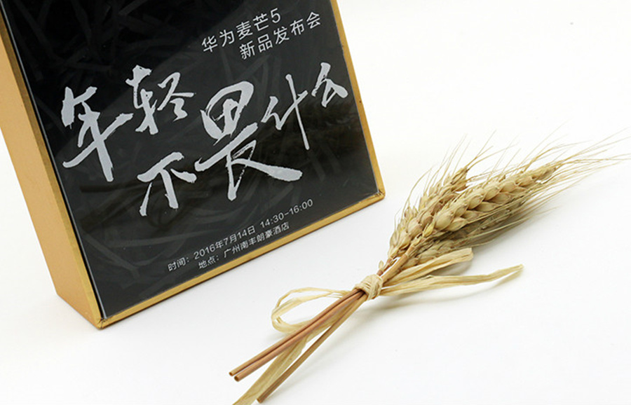 在針尖大的領域里飽和攻擊