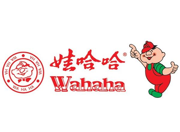 娃哈哈市場定位戰略探討,娃哈哈市場定位戰略,娃哈哈品牌定位