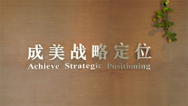 國內好的品牌戰略定位公司有哪些？