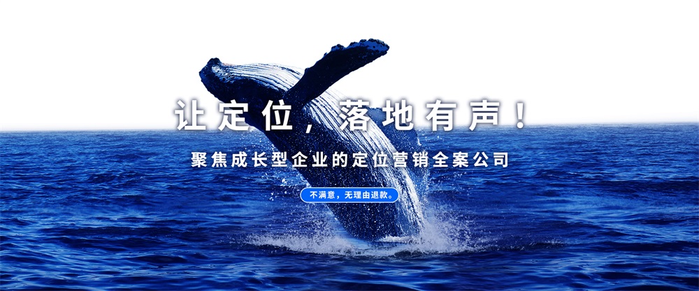 深圳品牌定位公司解析辣怪鴨鹵味肉制品案例